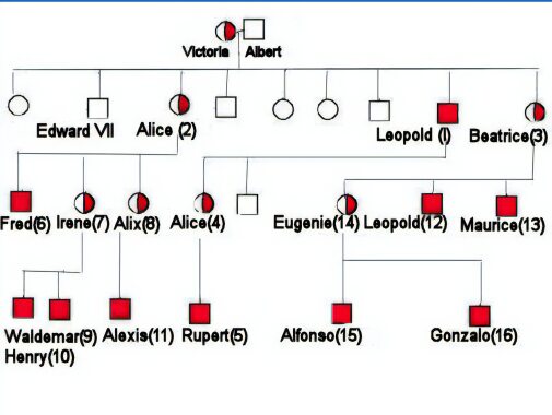Chart showing the descendants of Queen Victoria affected by haemophilia