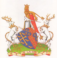 arms