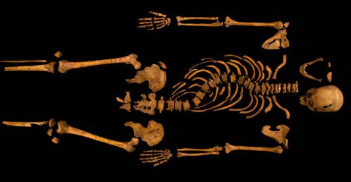 Skeleton of Richard III