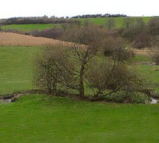 The Battle of Towton